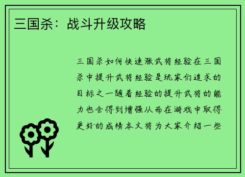三国杀:战斗升级攻略 三国杀:战斗升级攻略